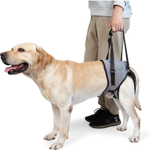 (M) Dog Sling For Large Dogs Hind Leg Support To Help Rehabilitate The Hind Limbs Of Elderly Dogs With Weak Hind Legs Disabilities