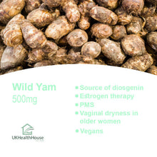 Mexican Wild Yam 500mg x 120 Tablets Estrogen Boost - Menopause