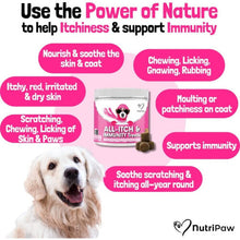 NutriPaw All-Itch Immunity Treats For Dogs Itchy Paws, Eyes, Ears Skin