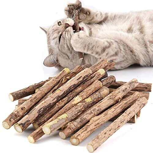 onebarleycorn - Catnip Cat Sticks,Cat nip Toys Natural Matatabi Kitten Chews Toy Dental Treats Teething Stick for Cats,Pack of 20 pcs