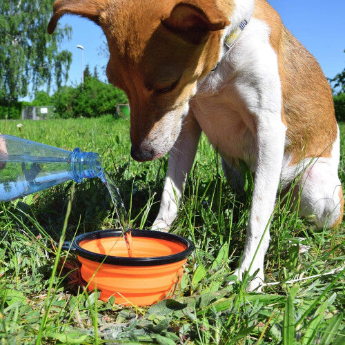 Oversized Collapsible Dog Bowl Collapsible Expandable Cup Plate Pet Cat Food Feeding Water Portable Travel Bowl