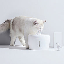 pet water dispenser circulating water