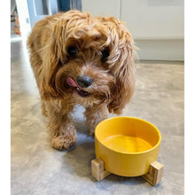 (Pink) Ceramic Bowl with Bamboo Stand for Dogs & Cats - 5 Colours Available