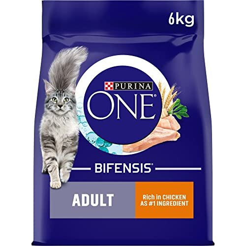 Purina ONE Adult Dry Cat Food Rich in Chicken 6kg, Pack of 1