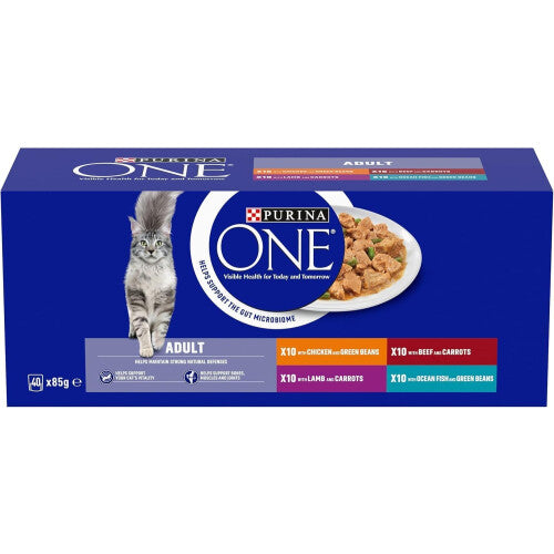 PURINA ONE Mini Fillets Mixed Selection in Gravy Wet Cat Food 40x85g