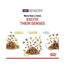 Royal Canin Sensory Feel (In Gravy) 12x85g Wet Cat Food for Picky Cats