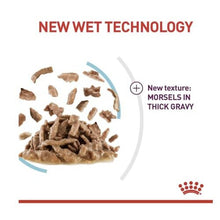 Royal Canin Sensory Feel (In Gravy) 12x85g Wet Cat Food for Picky Cats