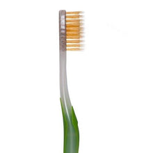 Royal Denta Gold, Manual Toothbrush Medium (Green)