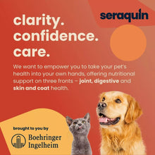 Seraquin Digest for Cats and Dogs - 30ml syringe