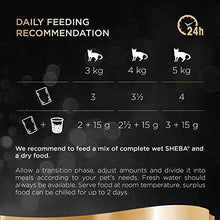 Sheba Fine Flakes Poultry Collection in Jelly 72 Pouches, Adult Wet Cat Food, Megapack (72 x 85 g)