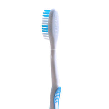 ToiletTree Products 13Clean - Manual Toothbrush with a New Head Each Month. (Blue)