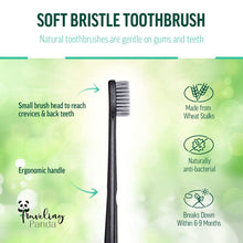 Traveling Panda Wheat Straw Toothbrushes Bulk  Charcoal Infused Soft B