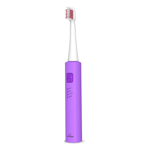 Ultrasonic Sonic Toothbrush USB Charge Rechargeable With 4 Pcs Replacement Heads Tooth Brushes Timer Brush