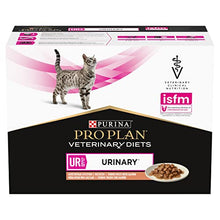 UR Urinary Wet Cat Food Salmon 10x85g