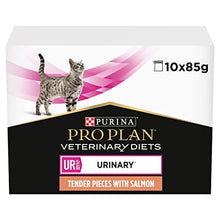 UR Urinary Wet Cat Food Salmon 10x85g