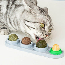 Wall-Mounted Catnip Balls Toy | Catnip Toy For Cats