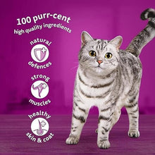 Whiskas 1+ Adult Mixed Selection in Jelly 84 Pouches, Adult Wet Cat Food, Megapack (84 x 85 g)