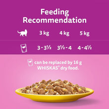 Whiskas 1+ Adult Poultry Selection in Jelly 40 Pouches, Adult Wet Cat Food, Megapack (40 x 85 g)