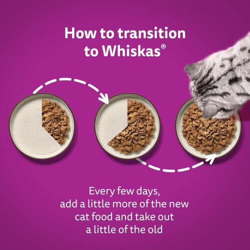 Whiskas 7+ Senior Cat Food Poultry Selection in Jelly, 40 x 85 g