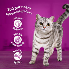 Whiskas 7+ Senior Poultry Selection in Jelly 120 Pouches, Senior Wet Cat Food, Megapack (120 x 85 g)