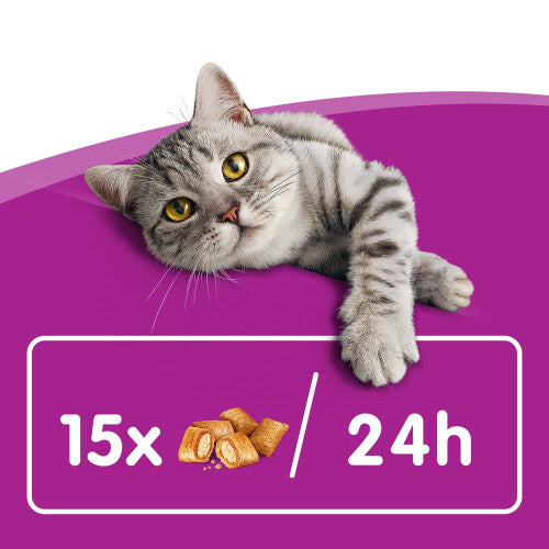 Whiskas Temptations Adult Cat Treats with Salmon 480g (8x60g Packs)