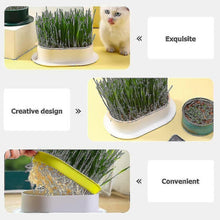 (White Pink) Hydroponic Cat Grass Planter Tray Plastic Catnip Cat Grass Box Soil Free Cat Grass Growing Box Cats Snack Tray