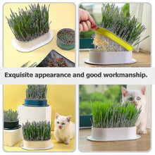 (White Pink) Hydroponic Cat Grass Planter Tray Plastic Catnip Cat Grass Box Soil Free Cat Grass Growing Box Cats Snack Tray