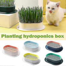 (White Pink) Hydroponic Cat Grass Planter Tray Plastic Catnip Cat Grass Box Soil Free Cat Grass Growing Box Cats Snack Tray