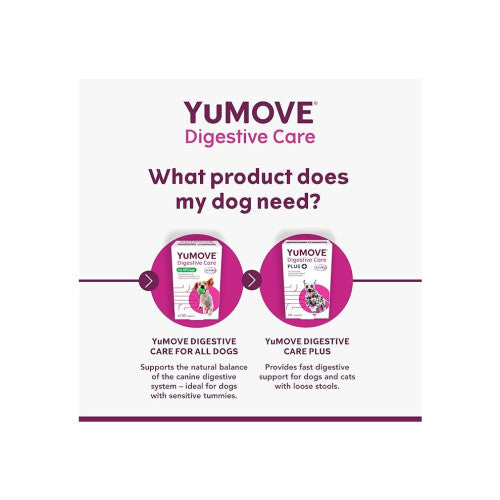 YuMOVE Digestive Care for All Dogs Previously YuDIGEST Probiotics for Dogs with Sensitive Digestion All Ages and Breeds120 Tablets