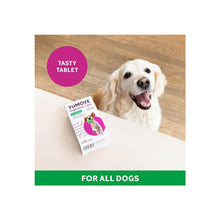 YuMOVE Digestive Care for All Dogs Previously YuDIGEST Probiotics for Dogs with Sensitive Digestion All Ages and Breeds120 Tablets